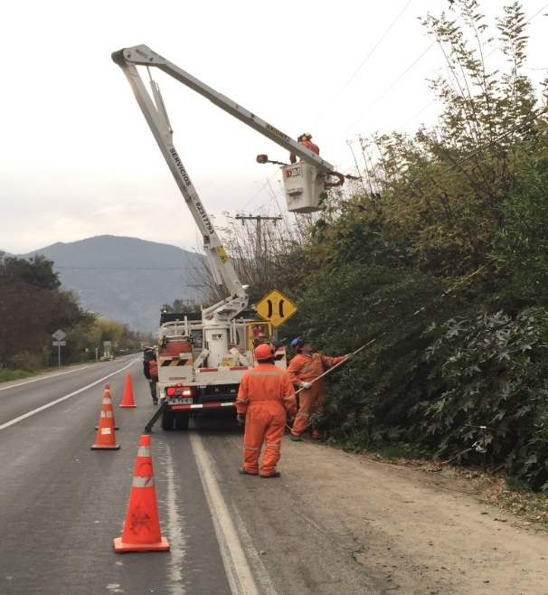 Brigada de poda y despeje de fajas junto a línea eléctrica